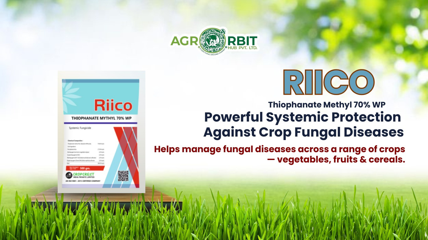 Riico Thiophanate Methyl 70% WP Fungicide – Powerful Systemic Protection Against Crop Fungal Diseases