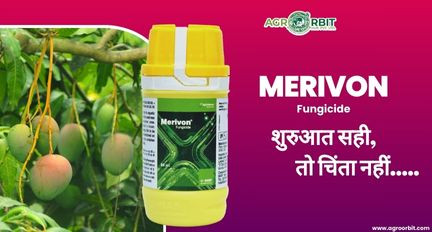 Boost your crop protection with Strongram