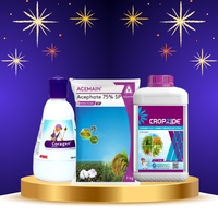 INSECTICIDES