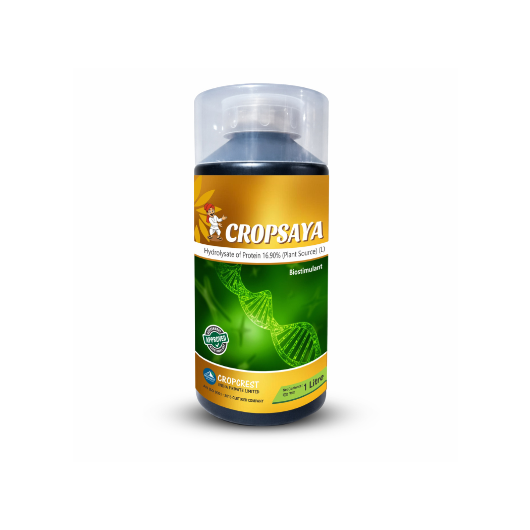 promo product