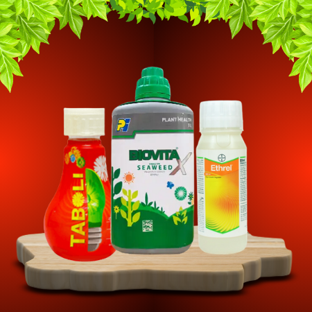 PLANT GROWTH STIMULANT