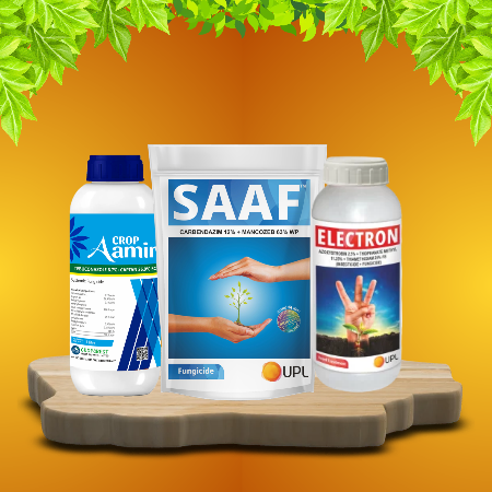 FUNGICIDES