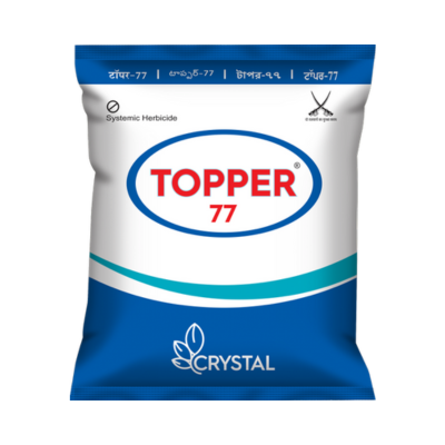 Topper 77