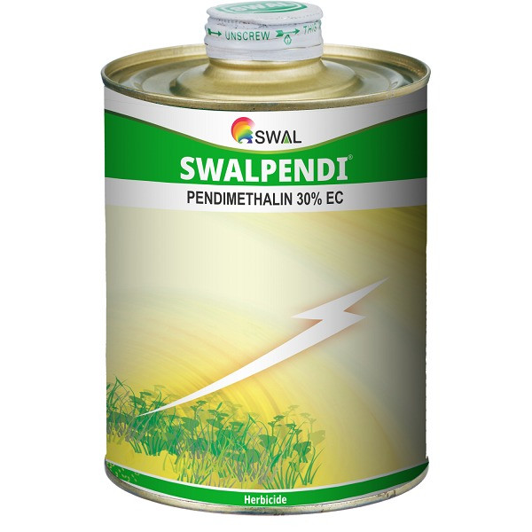 Swalpendi