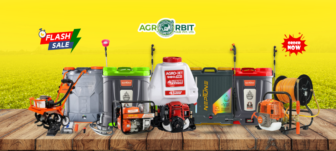 Best in the Land. Best Deal in Hand