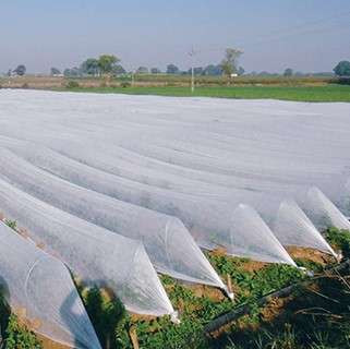 Crop Cover