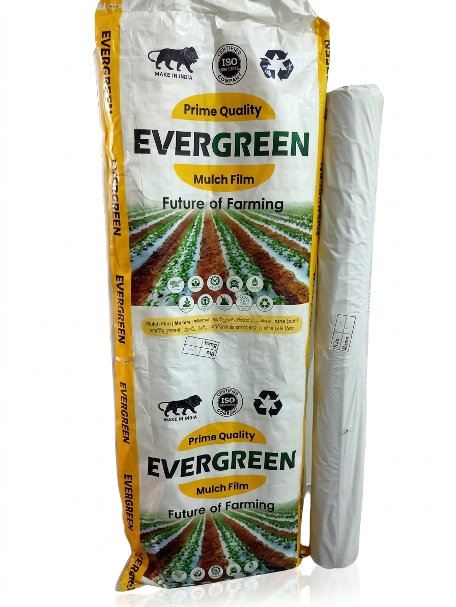 EVERGREEN (MULCHING PAPER)