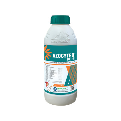 Azocyteb Plus