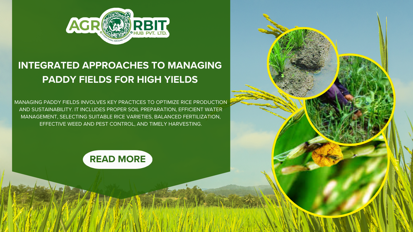 Integrated Approaches to Managing Paddy Fields for High Yields