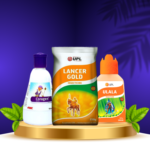 INSECTICIDES