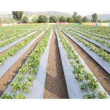 Mulching Green Eco Quality -With Warranty