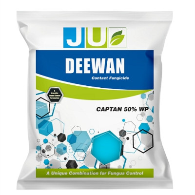 JU-DEEWAN