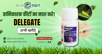 Agro Orbit Hub Pvt ltd promo