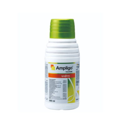 Ampligo