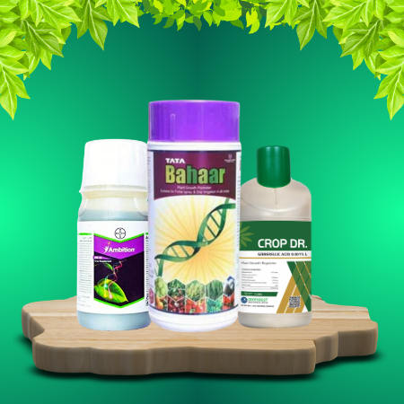 PLANT GROWTH PROMOTER