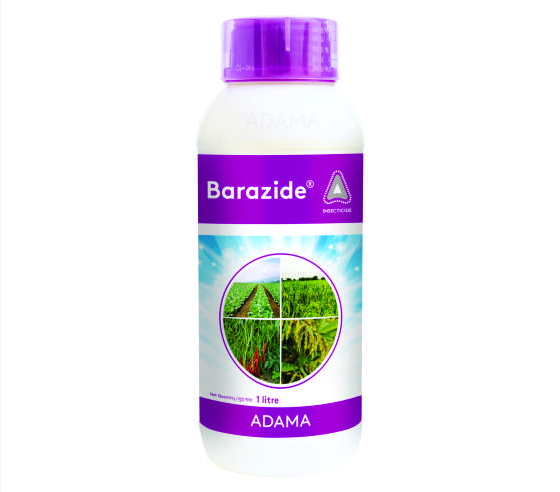 Barazide