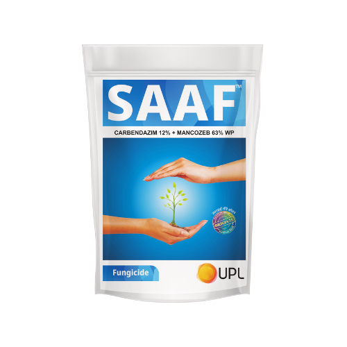Saaf