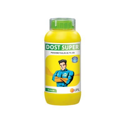 Dost Super