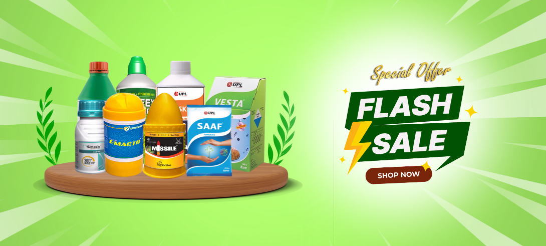 BUY NOW FOR EXCLUSIVE DEALS