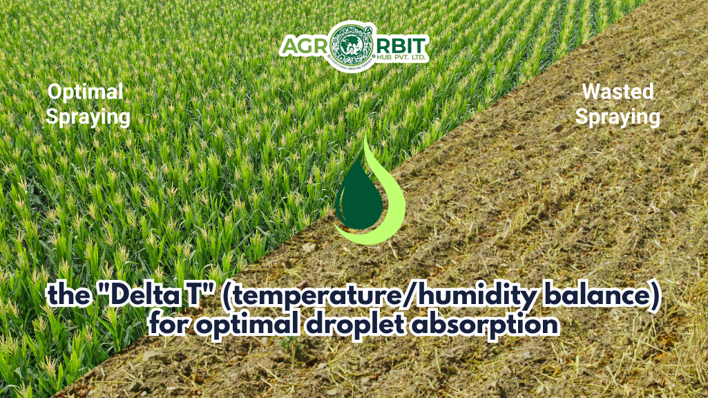 the "Delta T" (temperature/humidity balance) for optimal droplet absorption