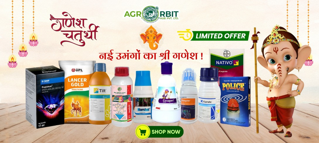 "Shree Ganesh Utsav Specials – Start Fresh with Di