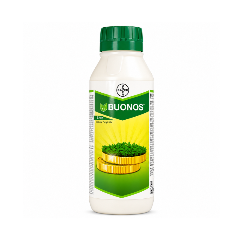 Buonos