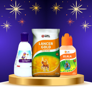 INSECTICIDES