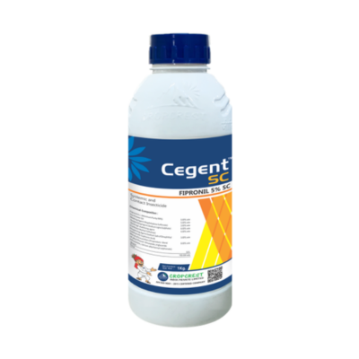 Cegent SC