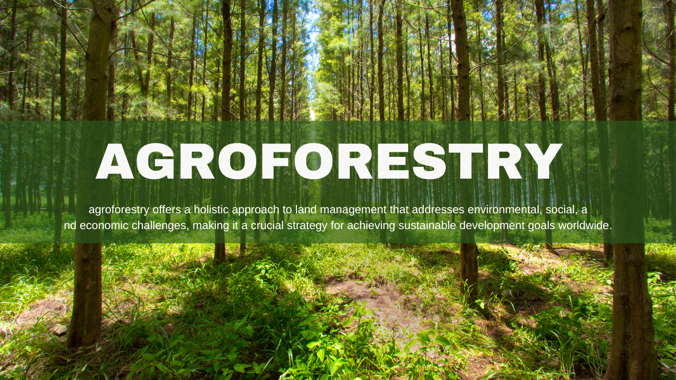 Agroforestry: Nature's Duet of Trees and Fields