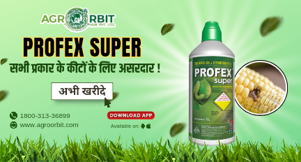 Agro Orbit Hub Pvt ltd promo