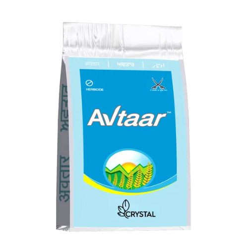 Avtaar