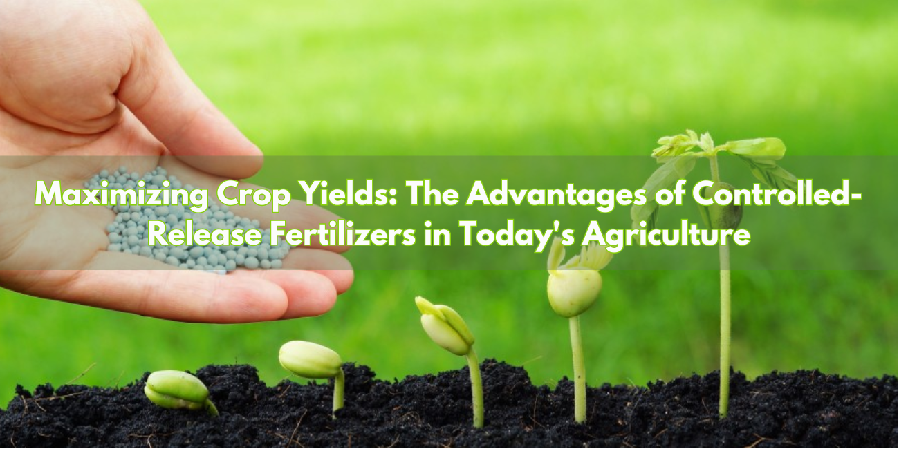 Maximizing Crop Yields: The Advantages of Controlled-Release Fertilizers in Today's Agriculture