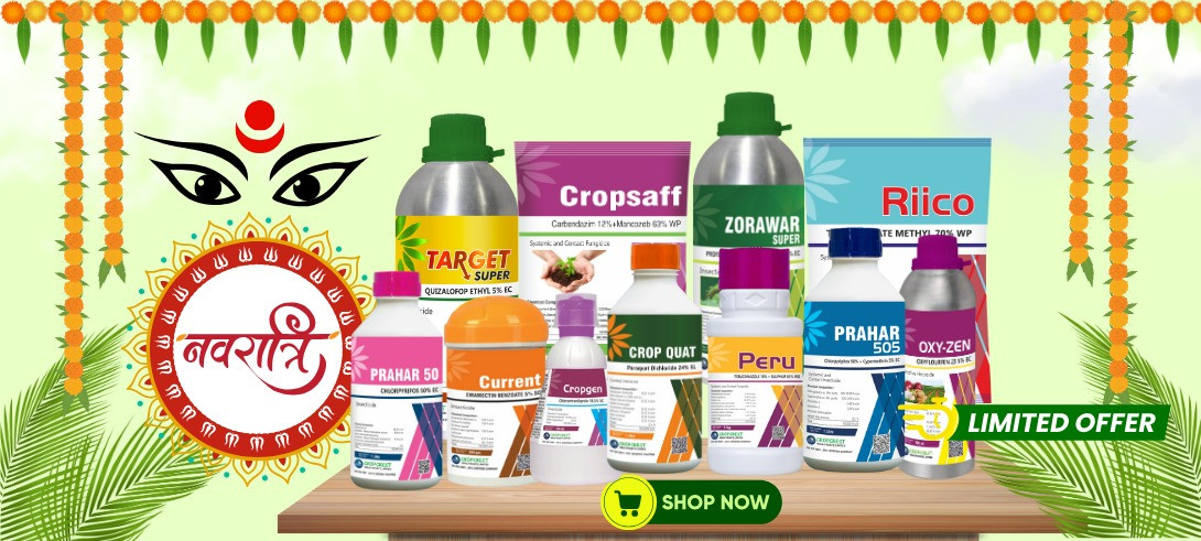 "Festive Flash Deals – Limited Time, Divine Prices