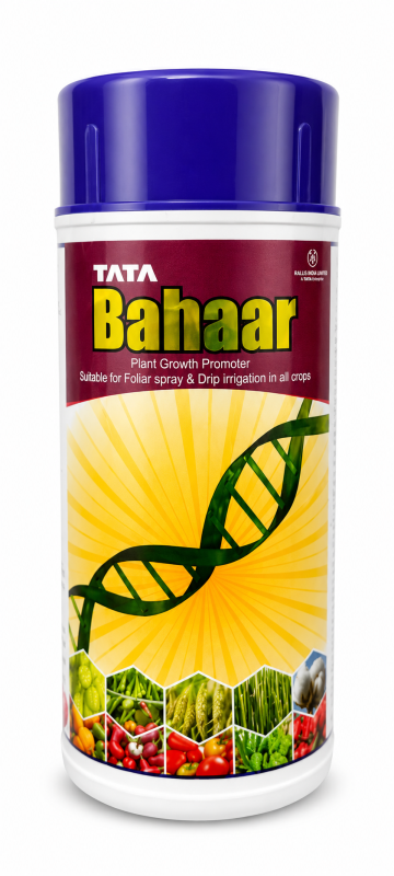 Tata Bahaar
