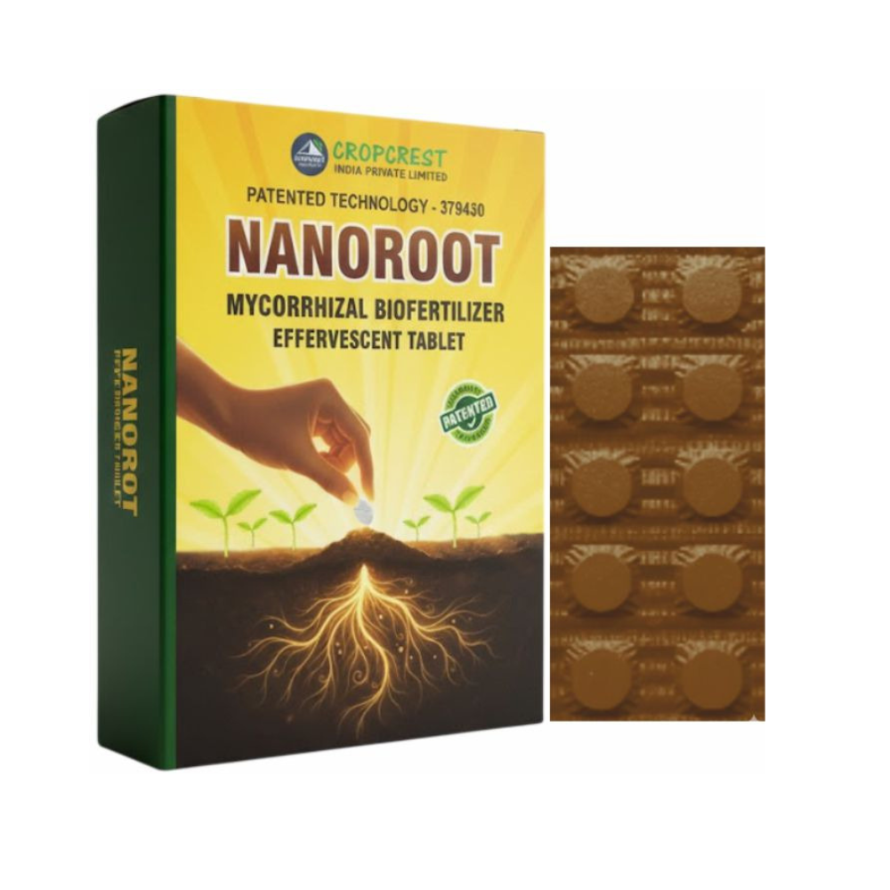 NANOROOT