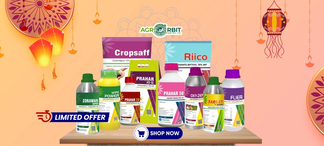 " Deals Brighter Than Crackers - Only On Agroorbit