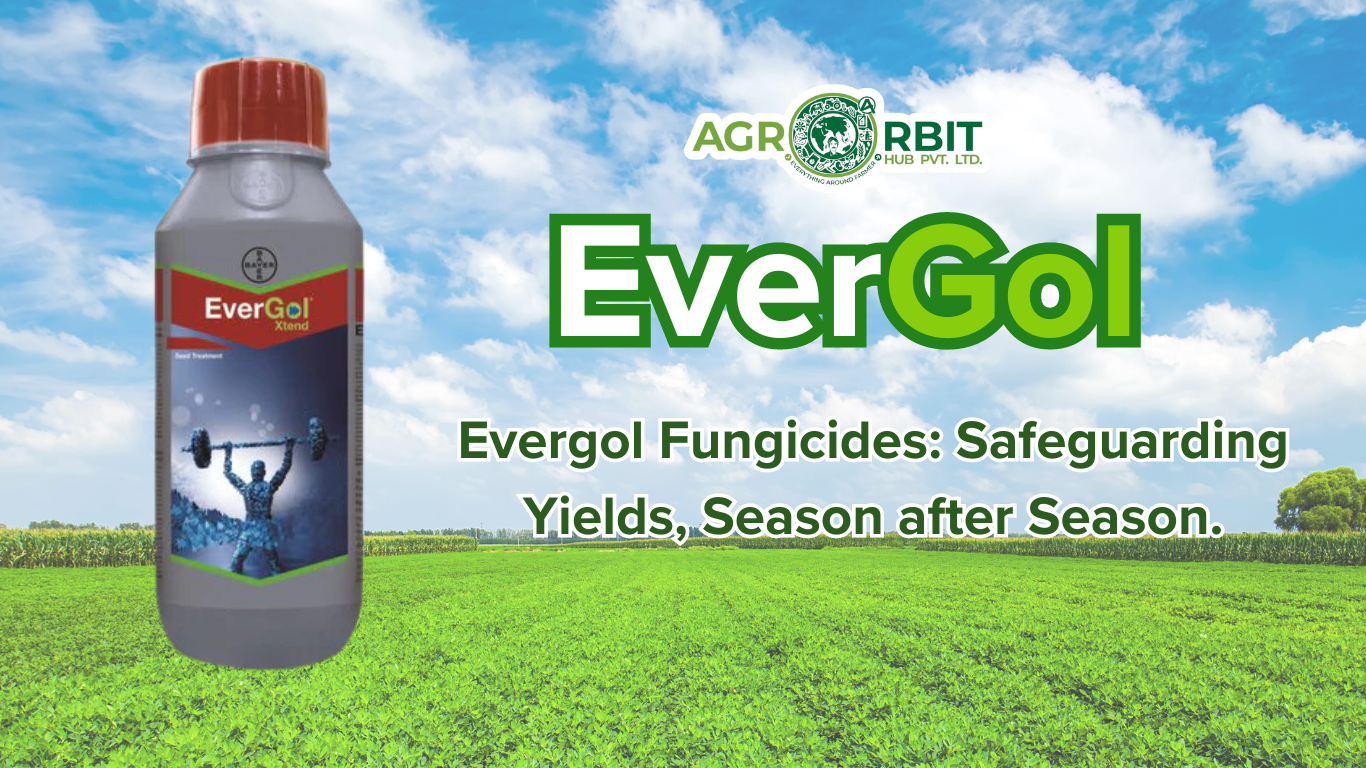 The Anatomy of a Great Evergol Xtend Buyer Price In India