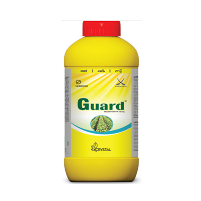 Guard