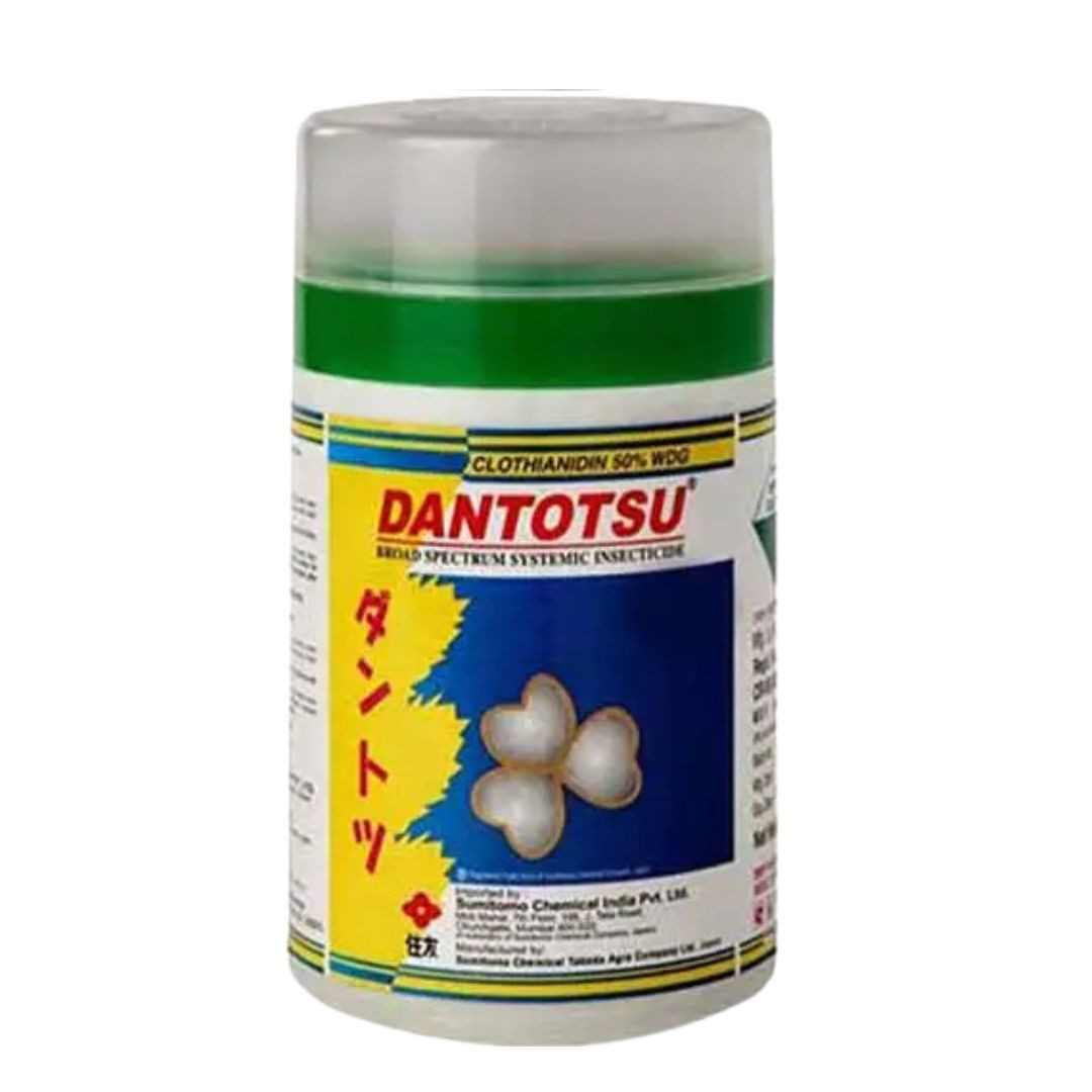 Dantotsu