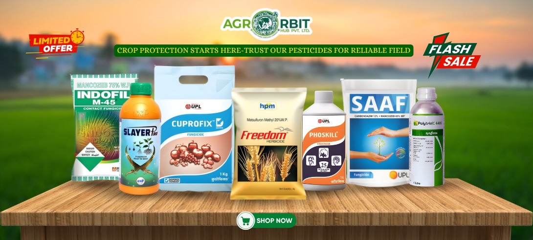 Quick Deals! Lowest Prices