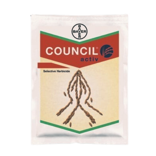 Council Active