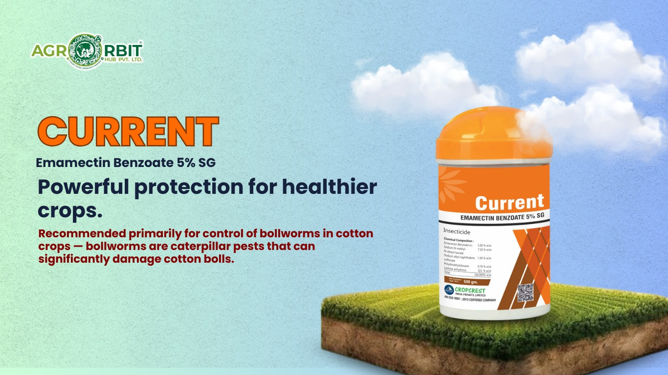 Current Emamectin Benzoate 5%SG Insecticide Trusted Bollworm Control Solution for Cotton Farmers | Available on AgroOrbit