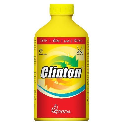 Clinton