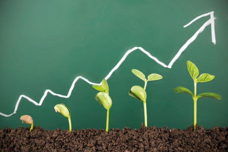 Plant Growth Regulator