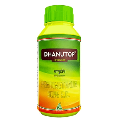 Dhanutop