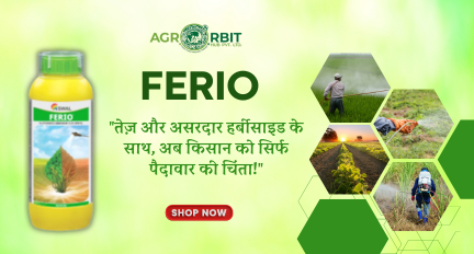 Agro Orbit Hub Pvt ltd promo
