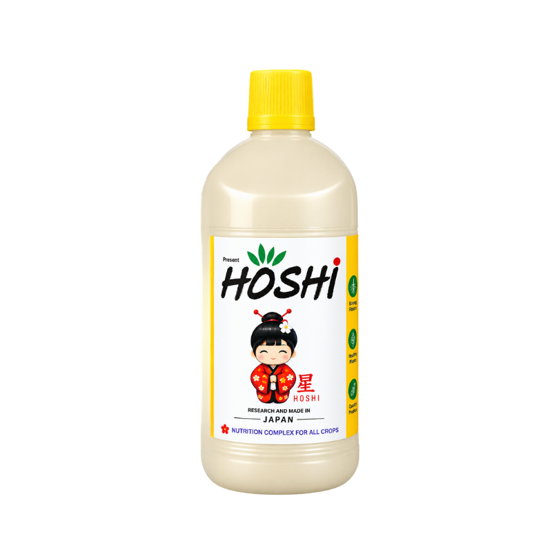Hoshi