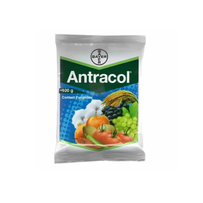 Antracol