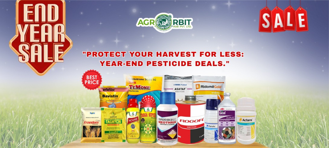 Now or Never: Grab the Best, Forget the Rest...