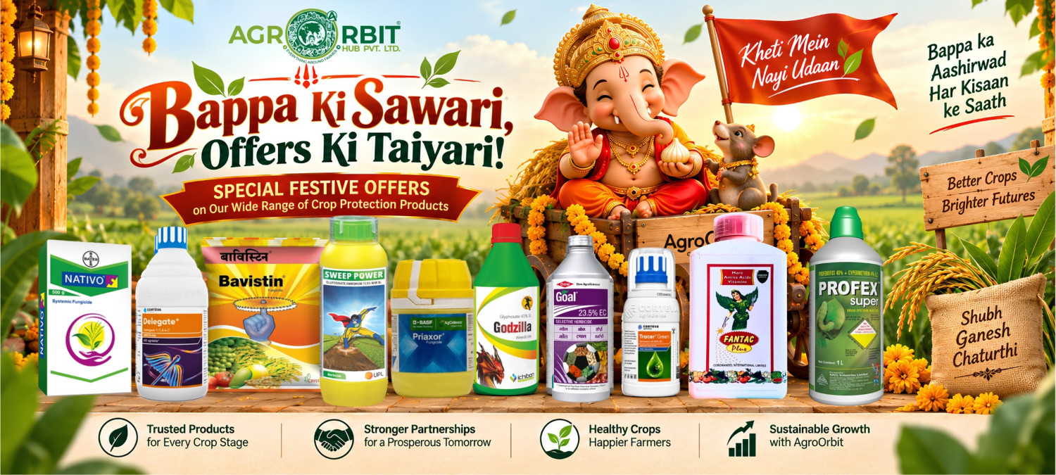 Bappa Ki Sawari , Offers Ki Taiyari!!